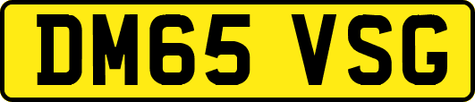 DM65VSG