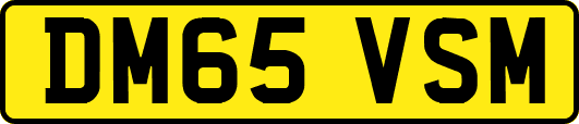 DM65VSM