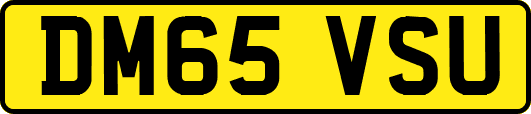 DM65VSU