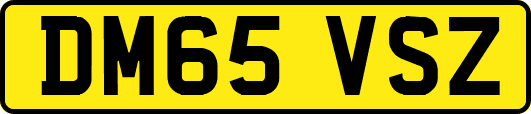 DM65VSZ