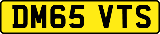 DM65VTS