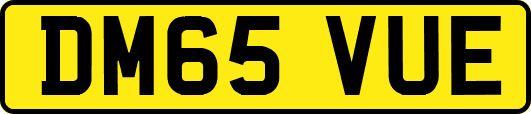 DM65VUE