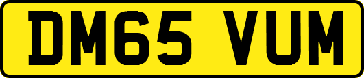 DM65VUM