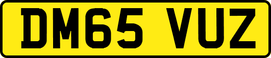 DM65VUZ