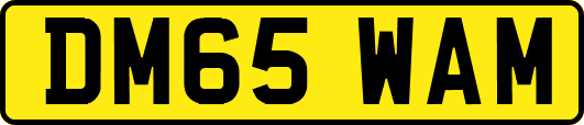 DM65WAM
