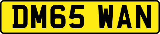 DM65WAN