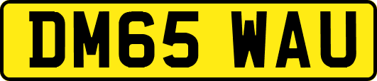 DM65WAU