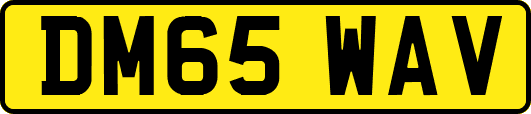 DM65WAV