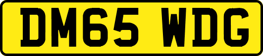 DM65WDG