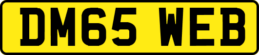 DM65WEB