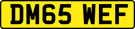 DM65WEF