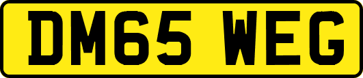 DM65WEG