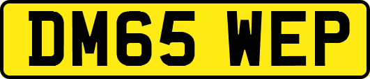 DM65WEP