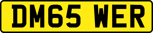 DM65WER
