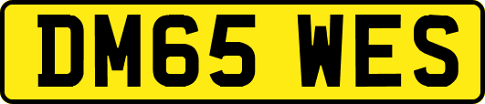 DM65WES