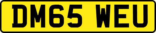 DM65WEU
