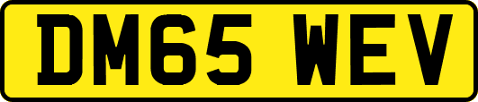 DM65WEV