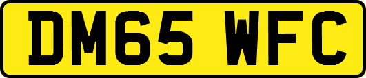DM65WFC