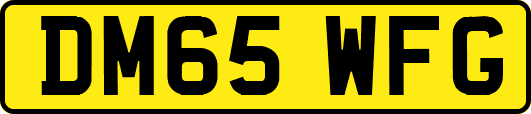 DM65WFG