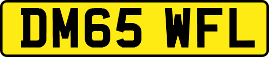 DM65WFL