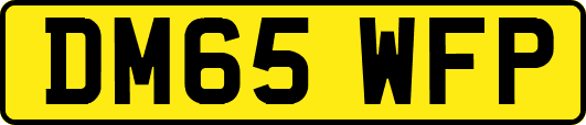 DM65WFP