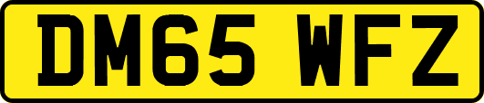 DM65WFZ