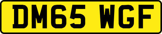 DM65WGF