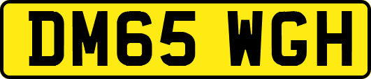 DM65WGH
