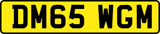 DM65WGM