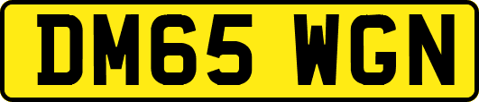 DM65WGN