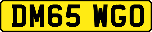DM65WGO