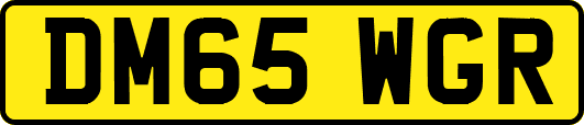 DM65WGR