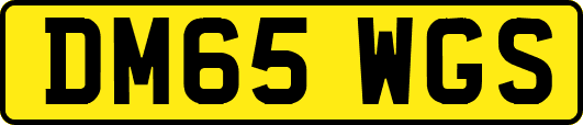 DM65WGS