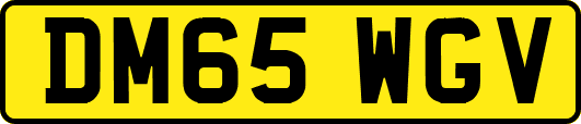 DM65WGV