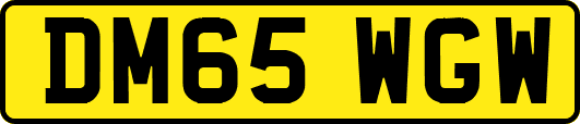 DM65WGW