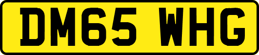 DM65WHG