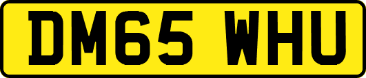 DM65WHU