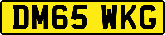 DM65WKG