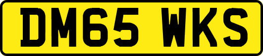 DM65WKS