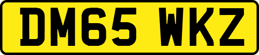 DM65WKZ