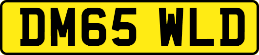 DM65WLD