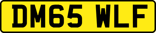 DM65WLF