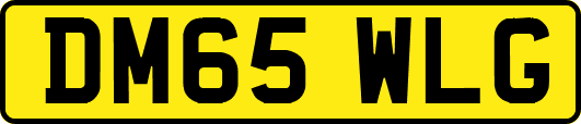 DM65WLG