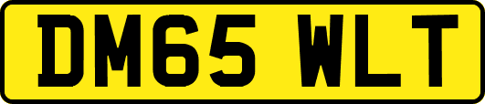 DM65WLT