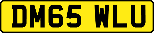 DM65WLU
