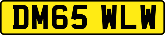 DM65WLW