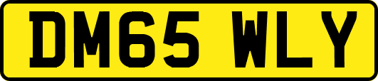 DM65WLY
