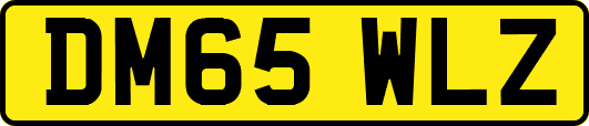 DM65WLZ