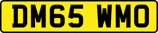 DM65WMO