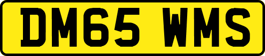 DM65WMS